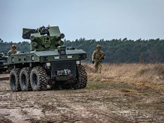 Foto's Scorpion On The Move Bravo Edit (52 Of 87) Copy