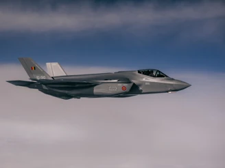 F 35 Tail Cover Dg Stratcom (Gert Jan D'haene)